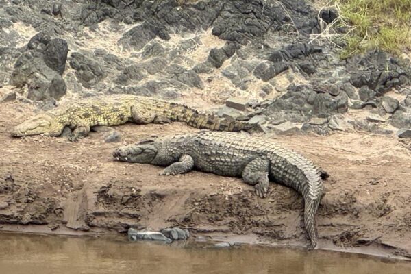 orphanage-crocs-jpeg