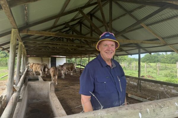 orphanage-geoff-cows-jpeg