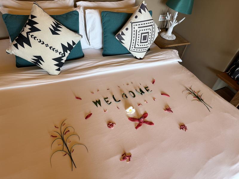 Jon Thailand Bed Welcome