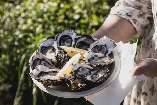 ECHO is a regionally-based boutique festival celebrating the old and new traditions of harvest on the East Coast of Tasmania, inspiring the senses of taste, smell, sight, sound, and touch. Presented in Autumn, ECHO is a curated program of experiences delivered at an idyllic rural setting.