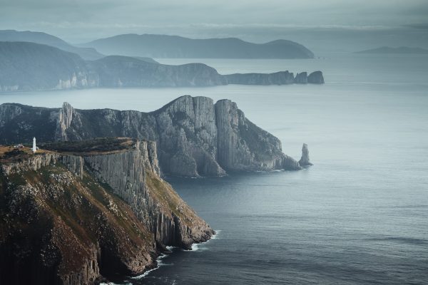 Tasman Island, located just off the south-eastern coast of Tasmania, is one of Australia's most significant seabird islands with fairy prions, sooty shearwaters and short-tailed shearwaters being the main breeding species.